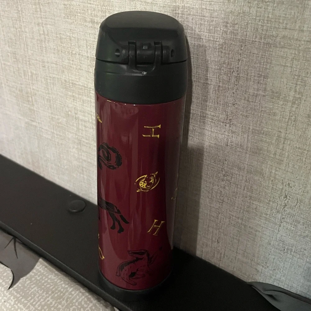 Pottery Barn Teen Harry Potter Hogwarts Slim Water Bottle - Picture 2 of 5